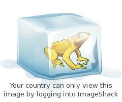 imageshack-frog.jpg